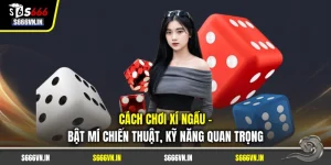 Cách Chơi Xí Ngầu - Bật Mí Chiến Thuật, Kỹ Năng Quan Trọng