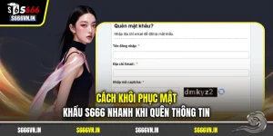 Cách Khôi Phục Mật Khẩu S666 Nhanh Khi Quên Thông Tin