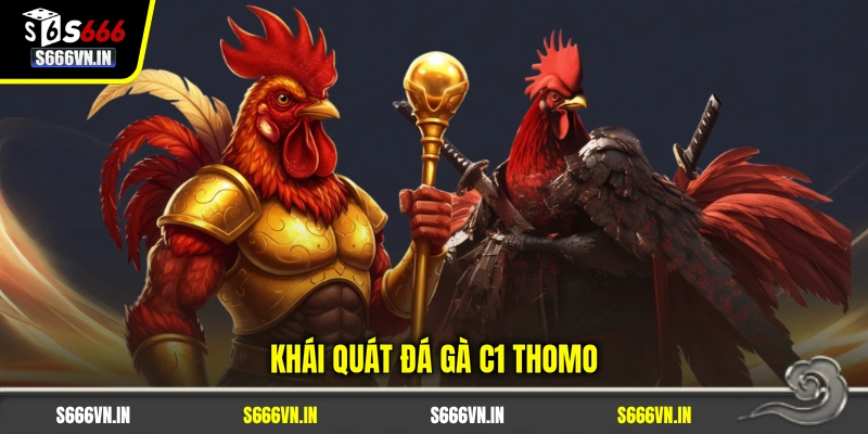 Khái quát đá gà C1 Thomo