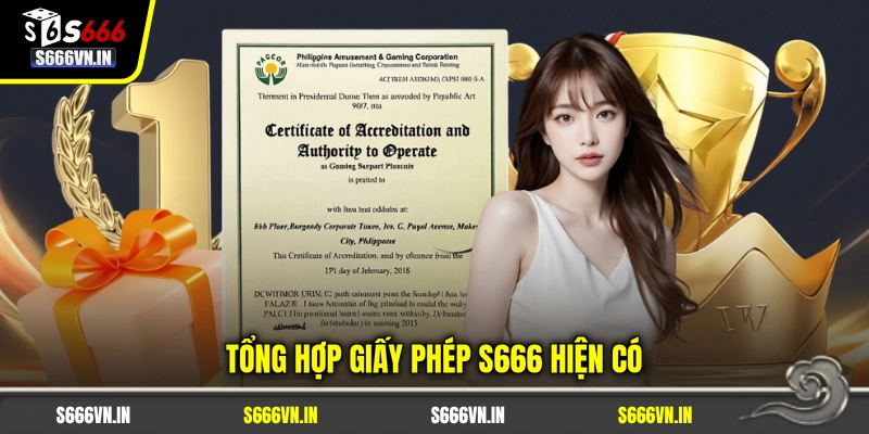 Tổng hợp giấy phép S666 hiện có